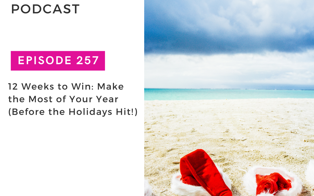 Hit Your Business Goals in 2024 (Before the Holidays Hit!) To Save Your Sanity As A Small Business Owner